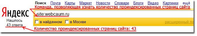 Как узнать количество страниц в поиске Яндекса