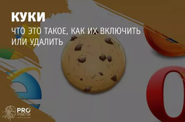 Что такое куки: как их включить или удалить