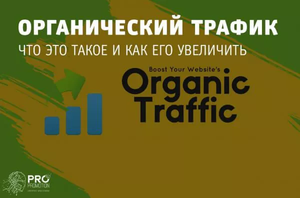 Что такое органический трафик и как его увеличить